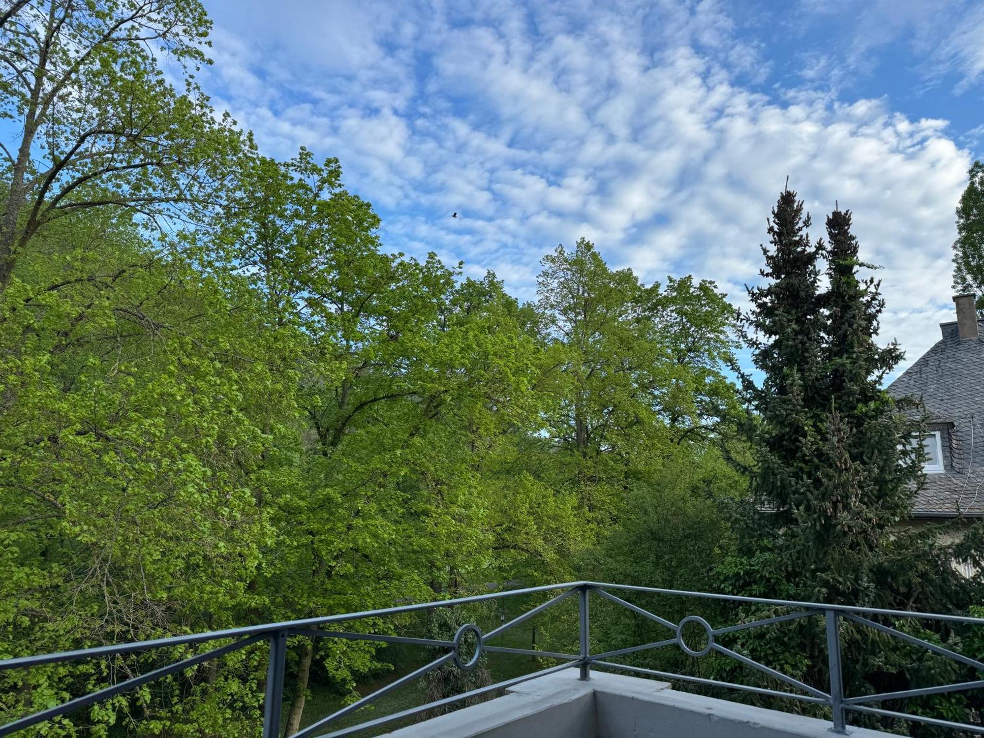 Apartment Villa Elisa Bad Kreuznach Eksteriør billede